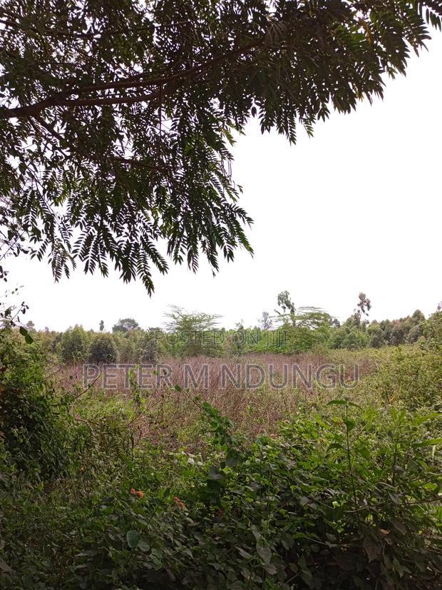 Prime Land on Sale, 60 Acres Muthaiga North