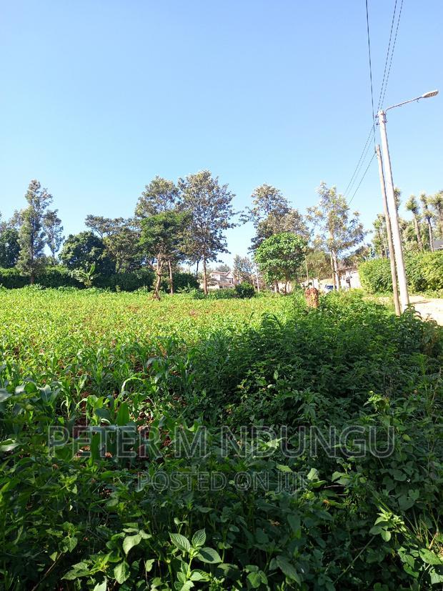 Prime 1/2 Acre on Sale, Thome 1
