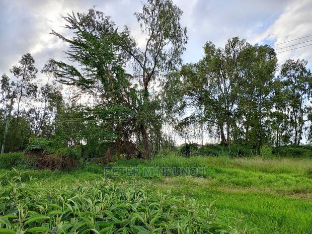 Prime 5.5 Acres , Garden Estate on Sale