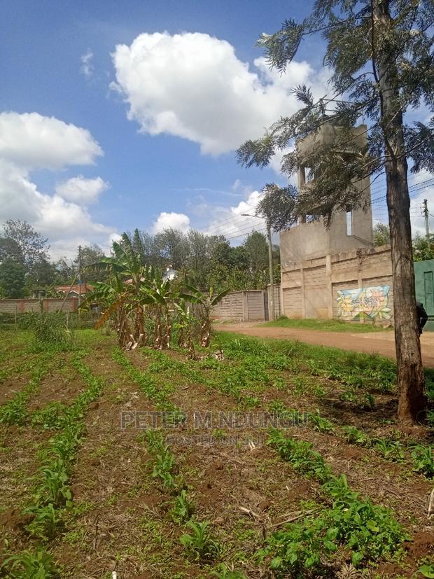 Mugumo 1/4 Acre,Kamiti Road