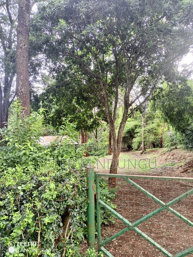 Mushrooms Garden 3.8 Acres, Kiambu Road