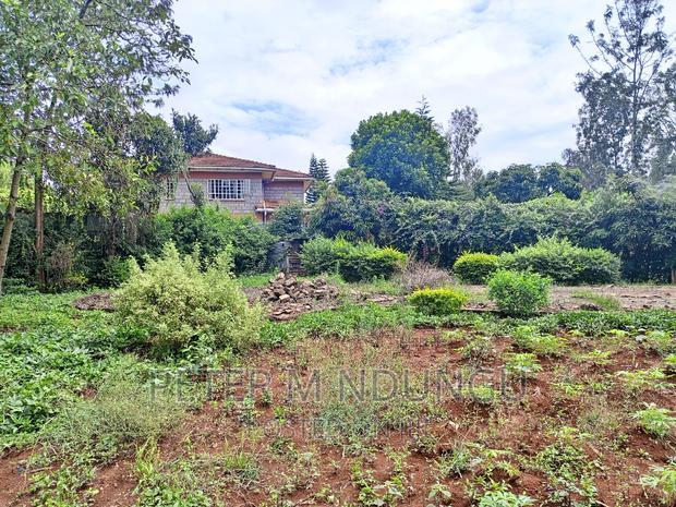 Thome One, Prime 1/2 Acre Plot