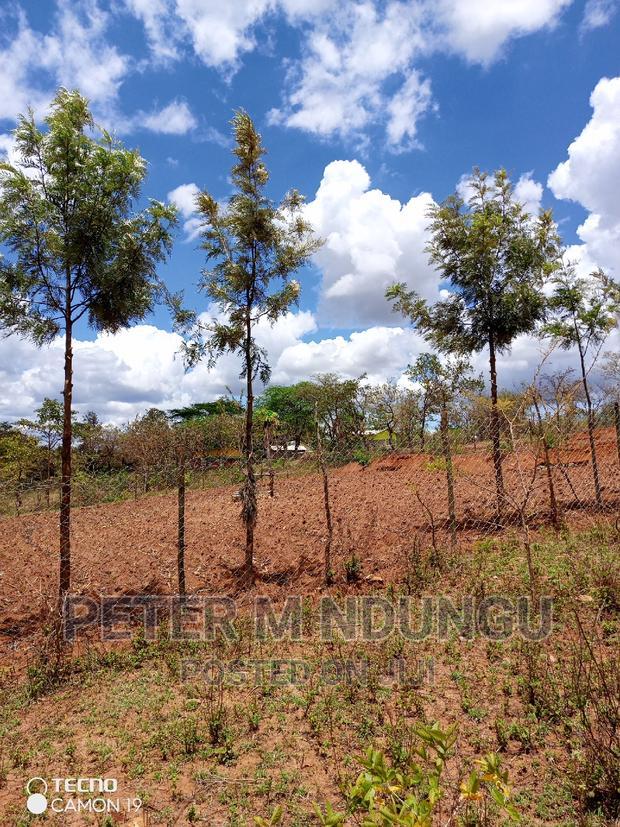Prime 2 Acres on Sale , Kambiti