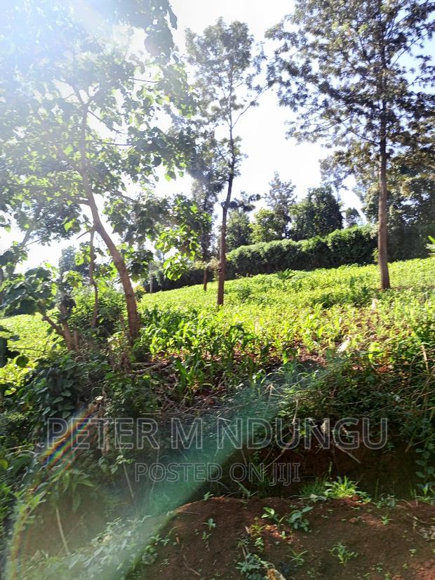 Prime 1/2 Acre on Sale, Thome 1