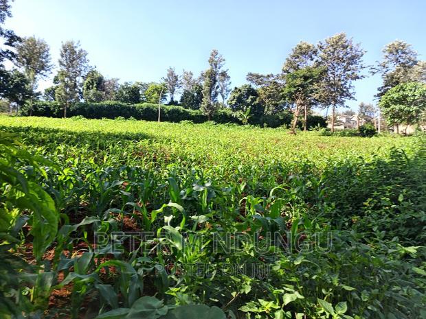 Prime 1/2 Acre on Sale, Thome 1