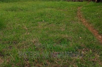 Runda Mumwe Residential Land 1 Acre