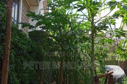 Prime Plot 0.0272 Hectares, Seasons,Kasarani