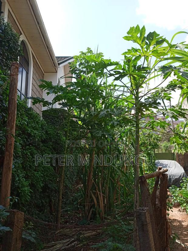 Prime Plot 0.0272 Hectares, Seasons,Kasarani
