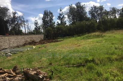 Thome Residential Plot on Sale