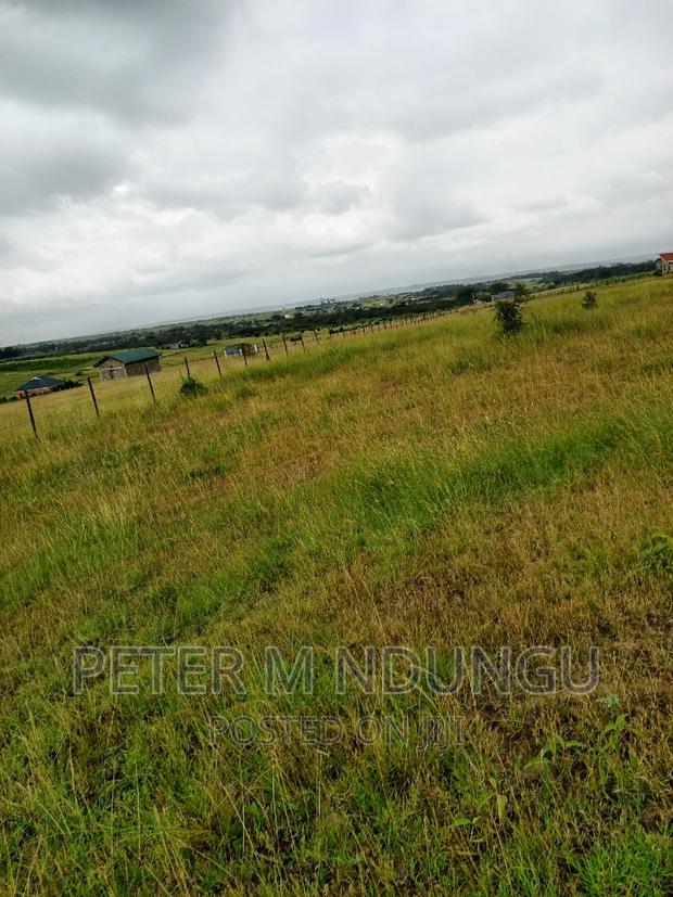 Plots on Sale, Joska