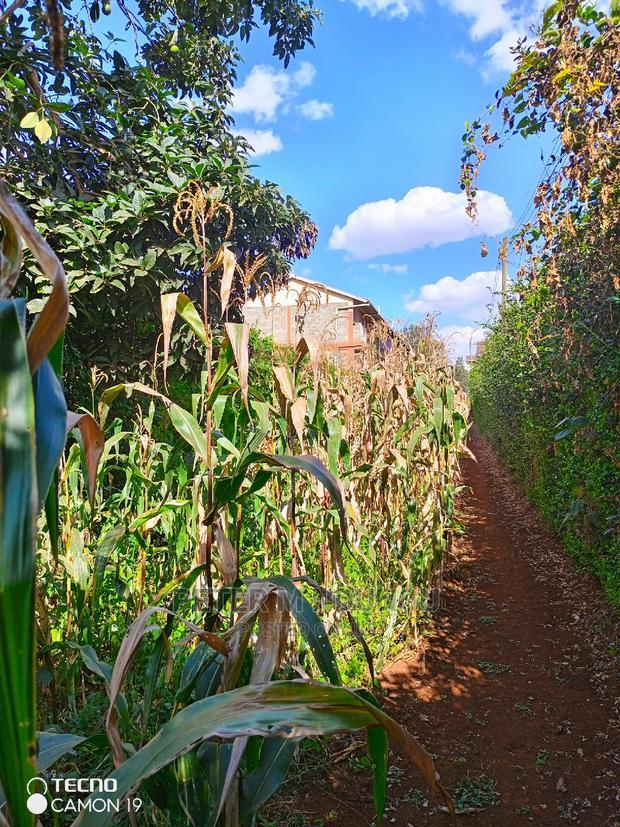 Prime Thindigua Plot 0.75ac