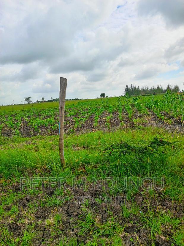 Prime Land on Sale , 10 Acres,Shorinke