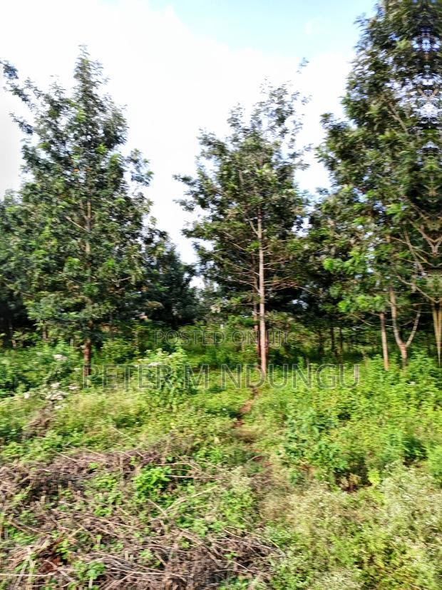 Prime 5 Acres to Let Touching Kiambu Road