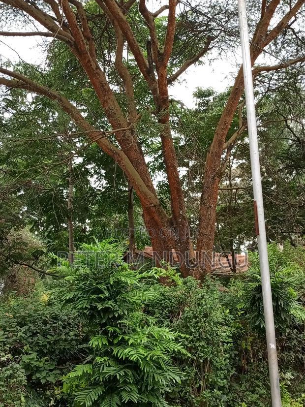 Prime Land on Sale, 0.75 Acre Behind Safari Park