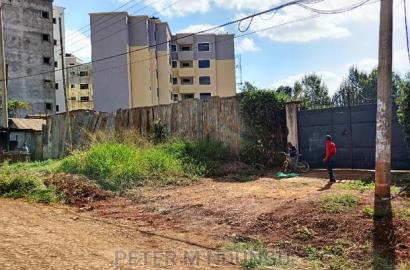 Prime Thindigua Plot 0.75ac