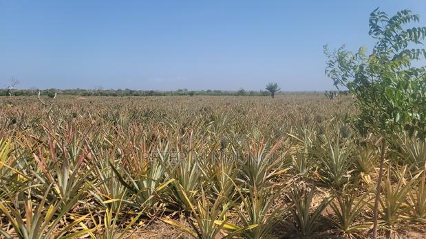 Malindi Land On Sale