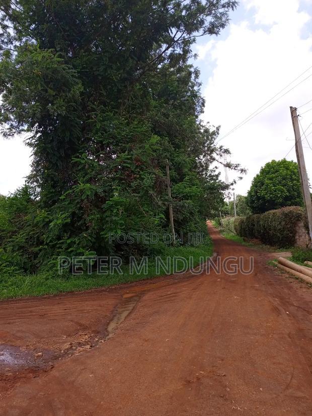 Thindigua Prime 2.25 Acres