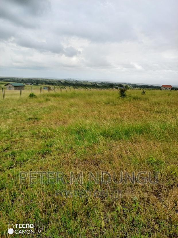 Plots on Sale, Joska