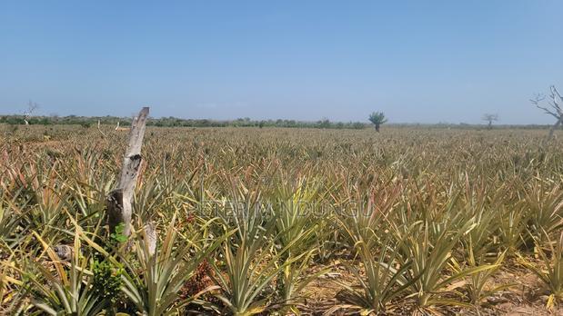 Malindi Land On Sale