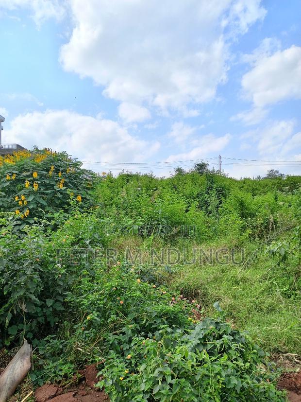 Garden Estate 1/2 Acre, Residential Plot