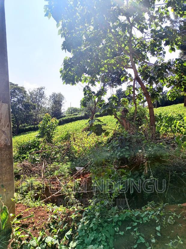 Prime 1/2 Acre on Sale, Thome 1