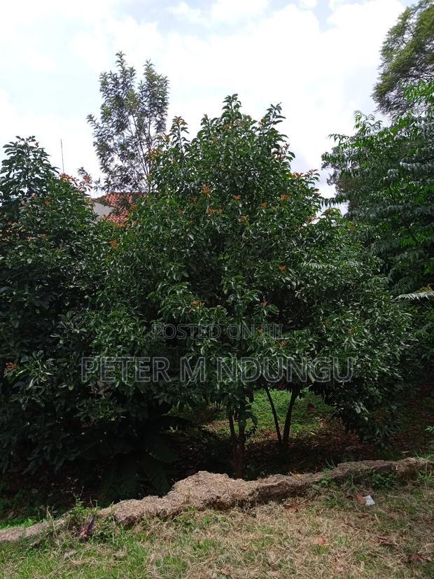 Kilimani Prime 1/2 Acre on Sale
