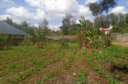 Mugumo 1/4 Acre,Kamiti Road