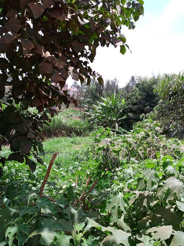 Kiamumbi Pime 100*100, Title