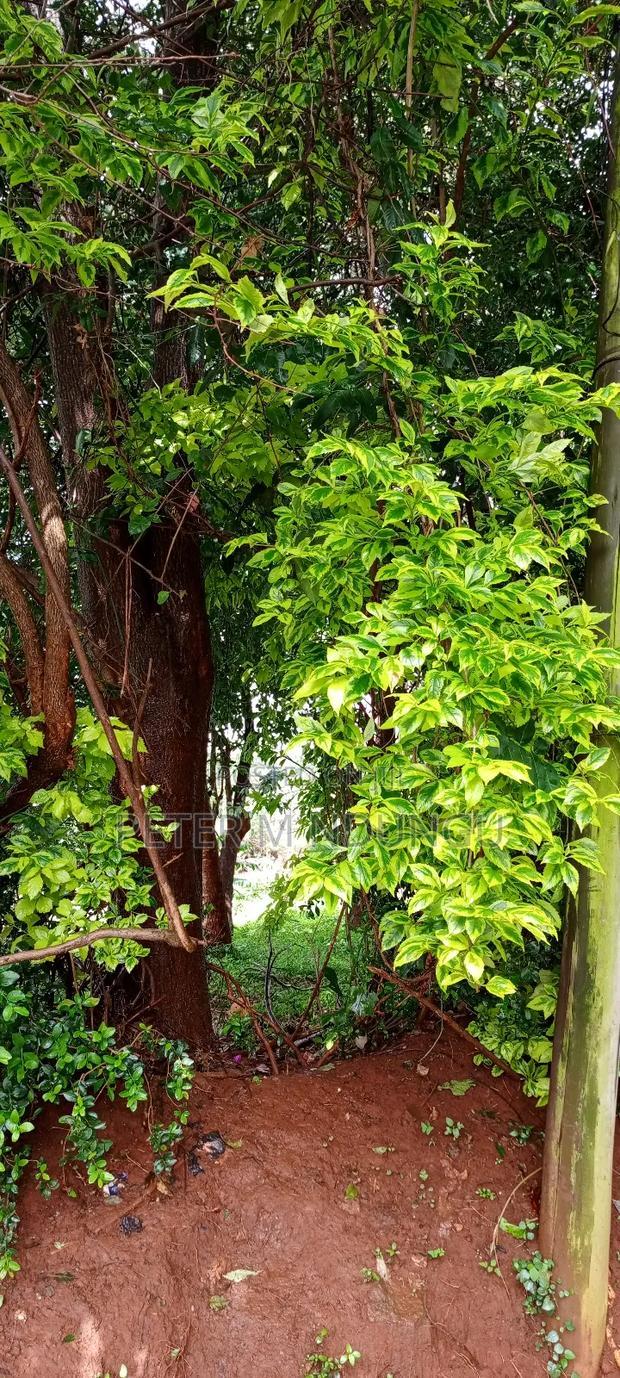 Runda Water One Acre on Sale