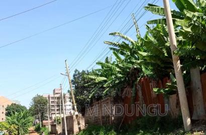 Prime Commercial Plot 1/4 Acre, Kiamumbi