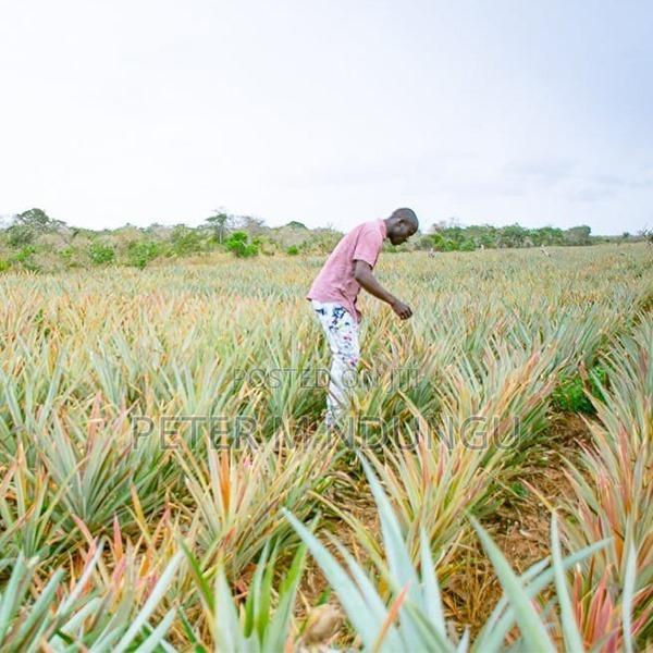 Malindi Land On Sale