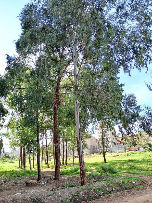 Kasarani Plot on Sale, Clay Works
