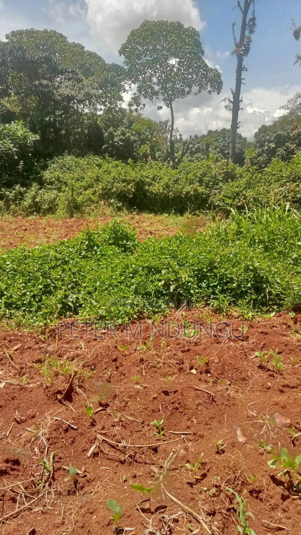Thome 1/4 Land on Sale, Gated Community