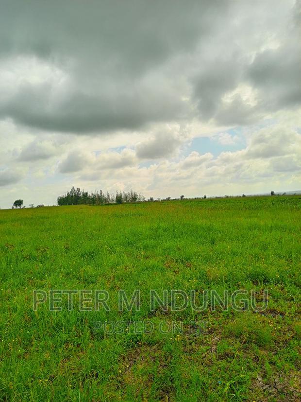 Prime Land on Sale , 10 Acres,Shorinke