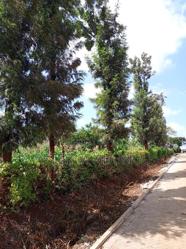 Prime One Acre, Kiukenda