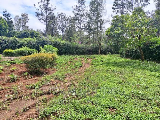 Thome One, Prime 1/2 Acre Plot