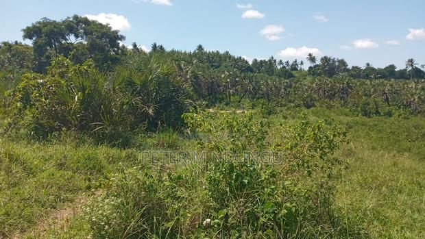 Ukunda Prime 145 Acres Agricultural Land