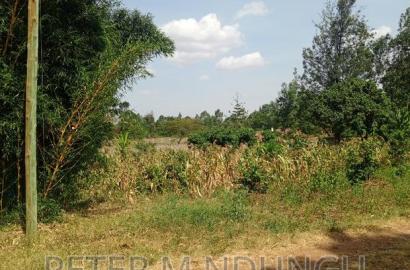 Garden Estate 0.5 Acre , Residential