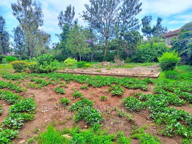Thome One, Prime 1/2 Acre Plot
