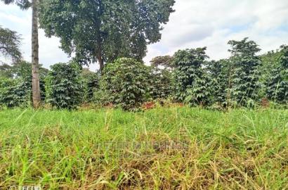 Prime 403acres on Sale, Kamiti Corner