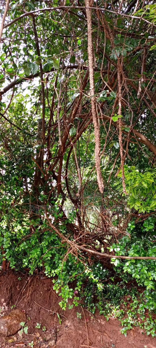 Runda Water One Acre on Sale