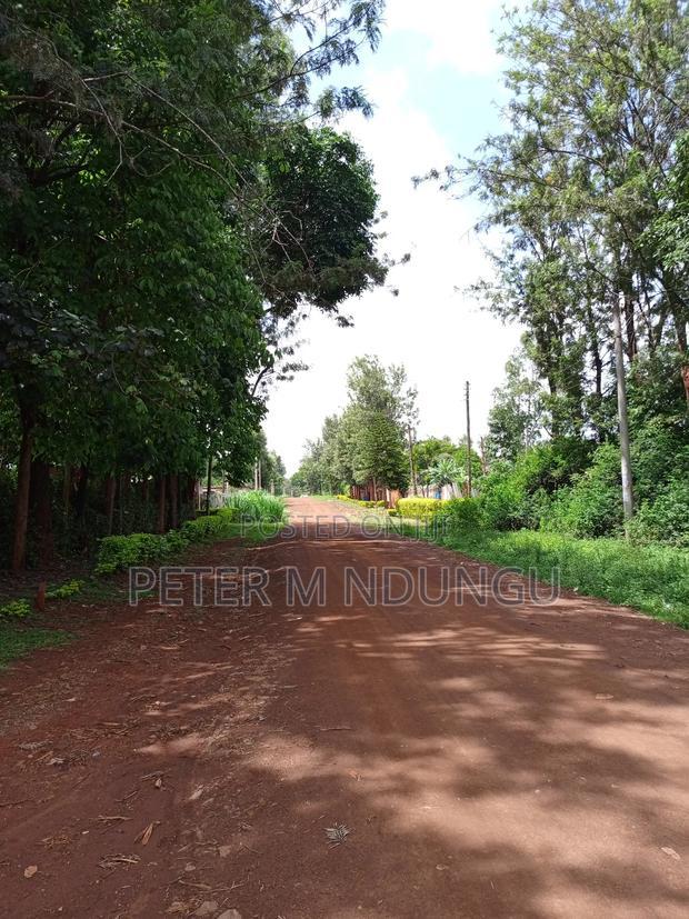 Thindigua Prime 2.25 Acres