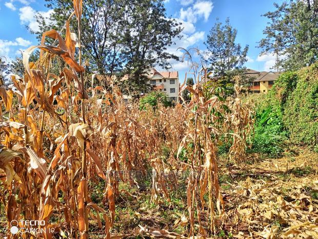 Prime Thindigua Plot 0.75ac