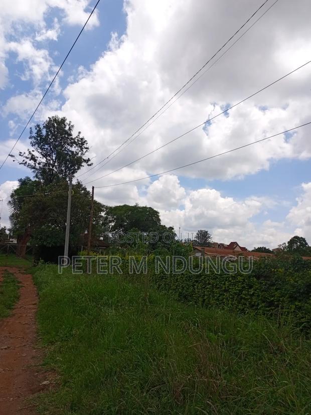 Prime 5.2 Acres Safari Park
