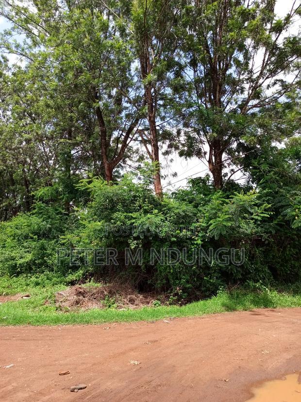 Thindigua Prime 2.25 Acres