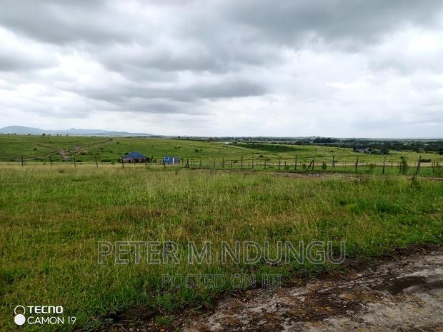 Plots on Sale, Joska