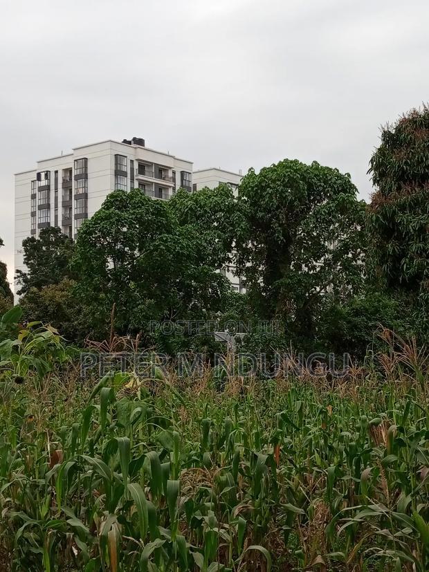 Prime Land on Sale 1/4 Acre Ruaka