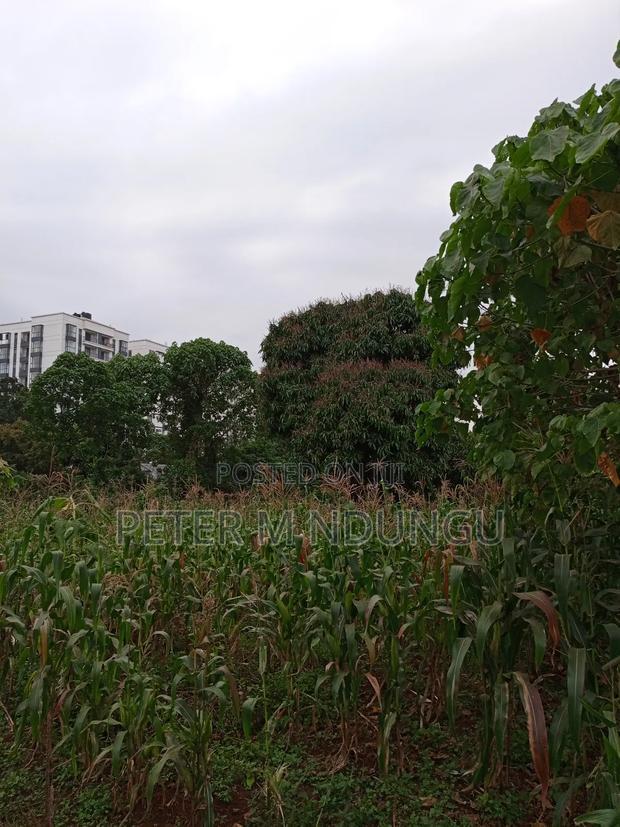 Prime Land on Sale 1/4 Acre Ruaka