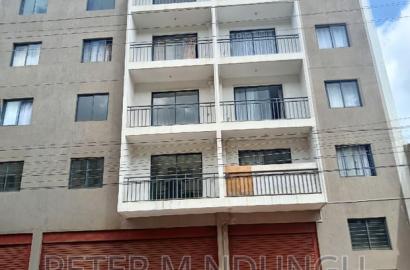 Executive 2 Bedrooms to Let, Maziwa
