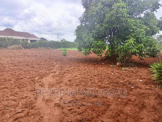 Prime Half Acre, Runda Mumwe